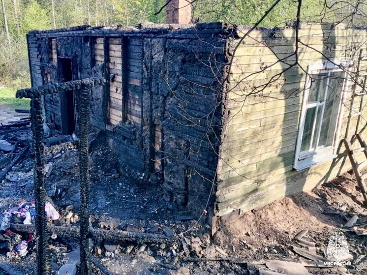 Неосторожное обращение с огнем стало причиной пожара в Пушкинских Горах