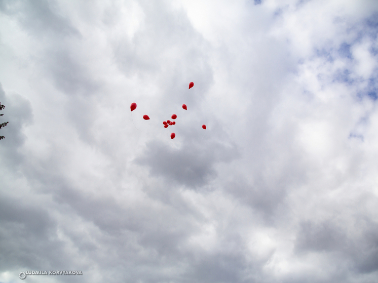 Администрация Петрозаводска просит воздержаться от использования беспилотников 9 мая