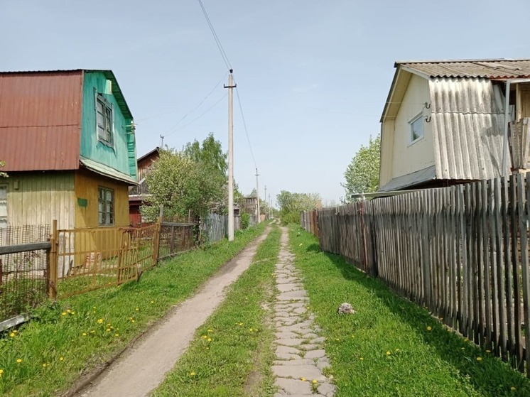 «ТНС энерго Марий Эл» переводит садоводов на цифру: личный кабинет, приложение и онлайн-оплата