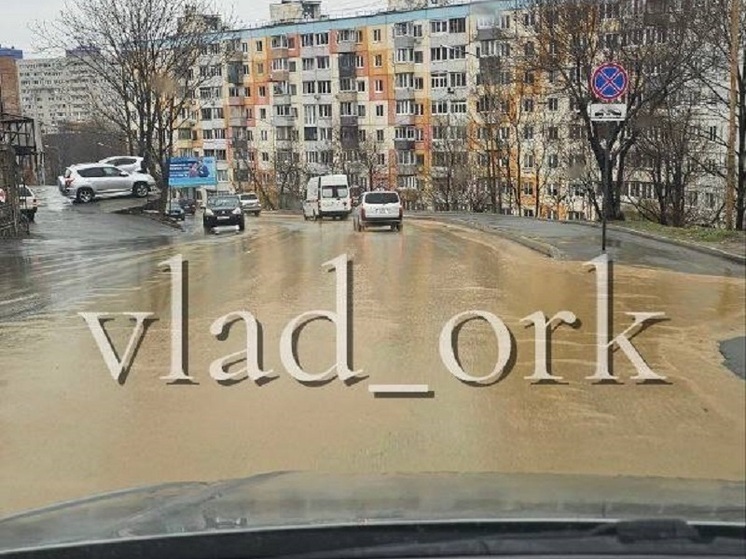 Грязевой сель сошел на автомобилистов в районе «Школы милиции» во Владивостоке