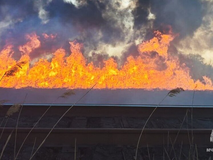 В ЛНР продолжают происходить крупные ландшафтные пожары