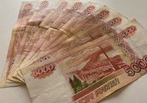 Российских дачников могут оштрафовать за наличие борщевика на их участках, предупреждают эксперты