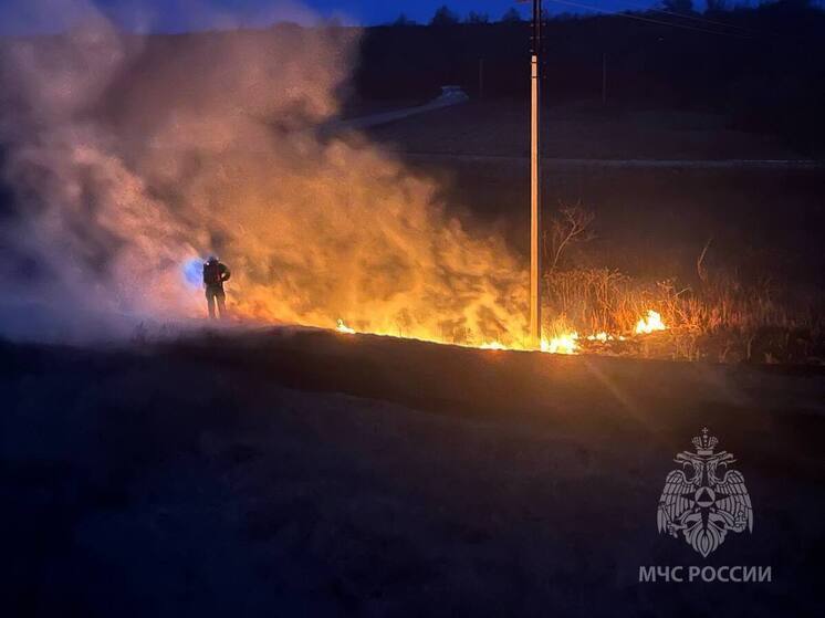 На территории Липецкой области до 1 июня вводится особый противопожарный режим