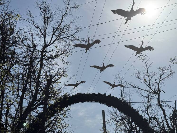 В центре Калуги ко Дню Победы появятся 555 журавлей