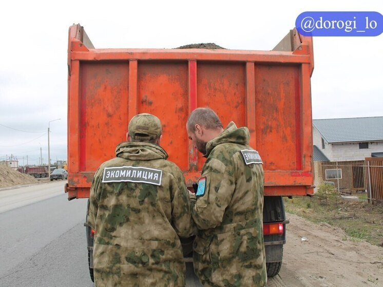 С начала периода просушки дорог в Ленобласти поймали 50 нарушителей
