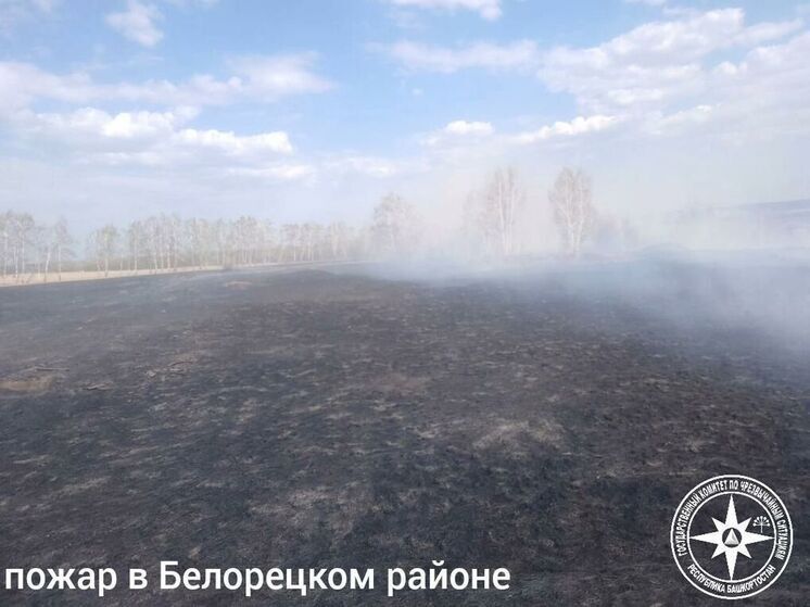 За сутки в Башкирии произошло два лесных пожара