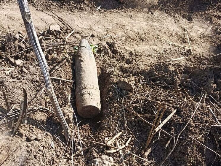 Снаряд времен ВОВ обнаружили в Клинском округе