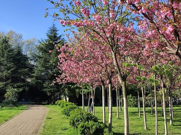 В Краснодарском крае стартовало голосование за объекты для благоустройства