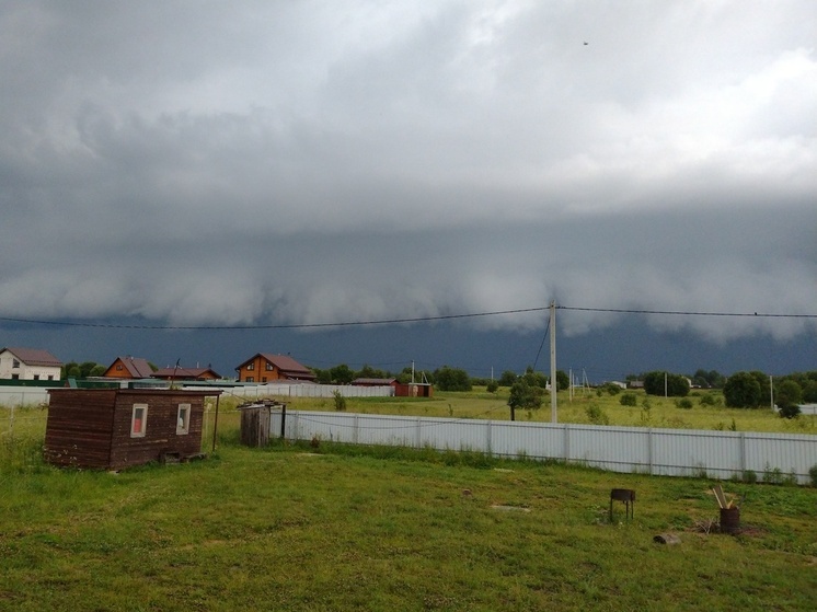 Синоптики 23 апреля обещают в Смоленске пасмурную погоду