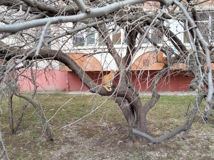 Вторая декада апреля в Марий Эл была на пять градусов теплее нормы