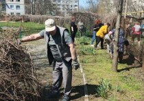 В дошкольном образовательном учреждении «Журавлёнок» с 14 по 18 апреля проходила тематическая экологическая неделя