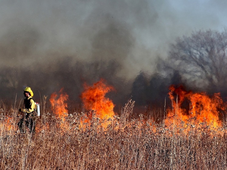 За дежурные сутки Смоленские пожарные выезжали на травяные пожары 26 раз