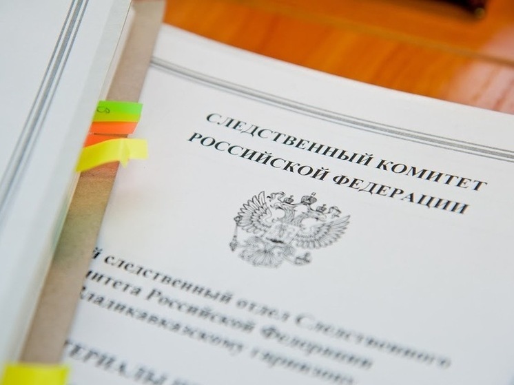 Главе СКР представят доклад о нарушении жилищных прав сироты из Волгоградской области