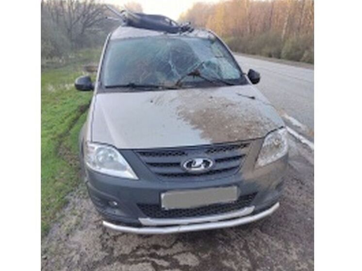 В Починковском районе в ДТП пострадала девочка-подросток