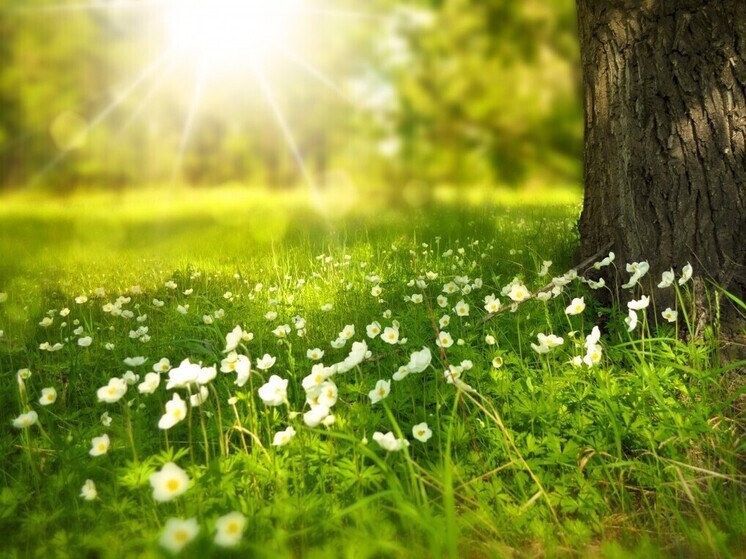 Калужские спасатели предупреждают об аномально жаркой погоде