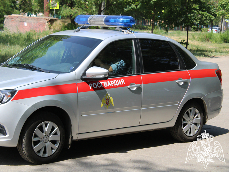 Росгвардейцы в Липецке задержали женщину совершившую хищение из магазина