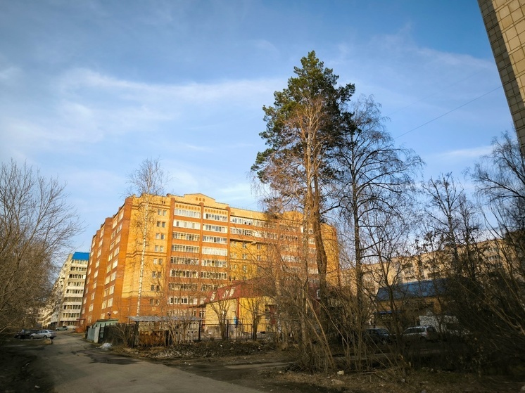 В Томске резко потеплеет до +16 градусов днем 23 апреля