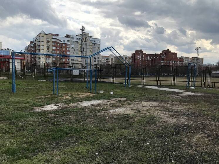 В Самаре наблюдается высокая активность пыльцы в апреле 2025 года