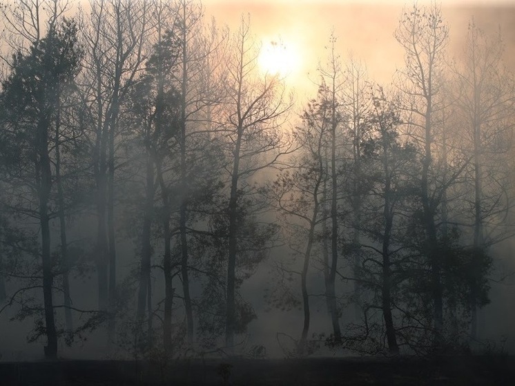 Чего нельзя делать 23 апреля, в день Терентия Маревного