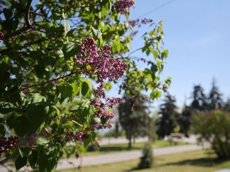 В Волгоградскую область придет похолодание