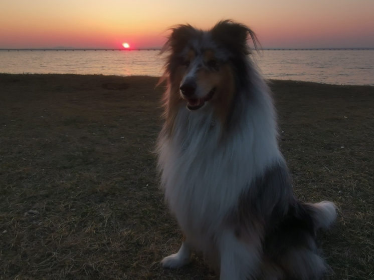 Стало известно, какая погода ожидает Приморье в среду, 23 апреля