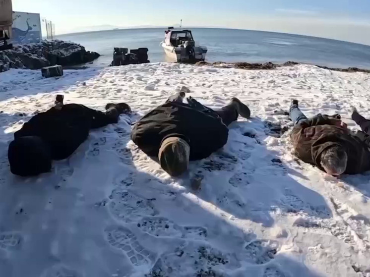 Более 1,4 тонны краба пытались вывезти из Приморья: ФСБ пресекла контрабанду