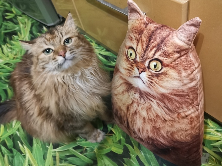 На Приморье надвигаются дожди и туманы: прогноз на 24 апреля от Примгидромета