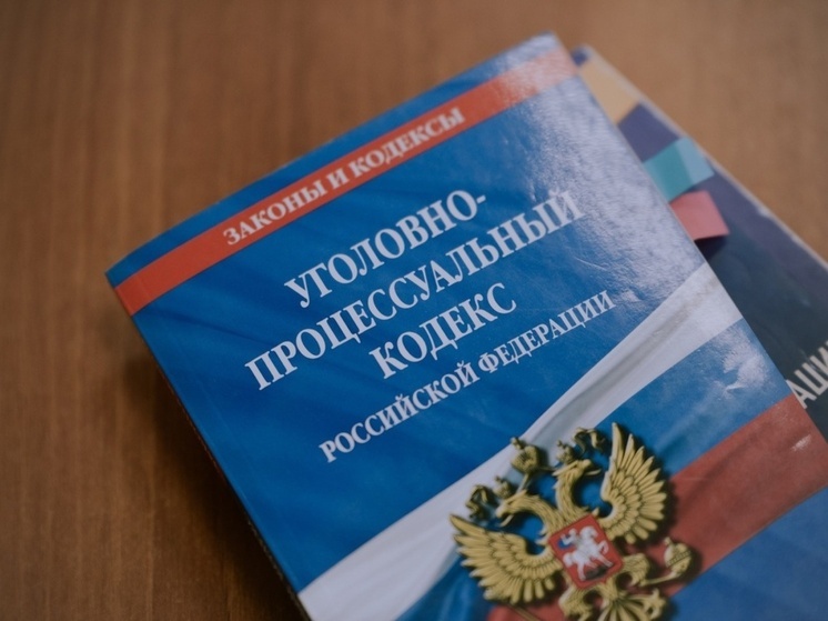 Томич призывал к террору в Интернете: возбуждено уголовное дело