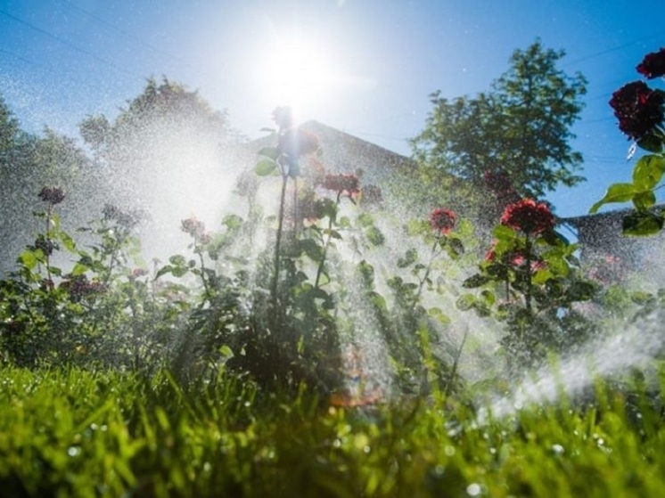 Волгоградскую область к концу недели накроет жара до +28 градусов