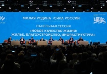 Об этом рассказали в правительстве Красноярского края