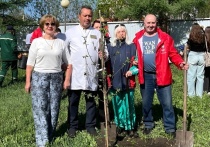 В областной столице силами волонтером и экологов была высажена новая яблоневая аллея