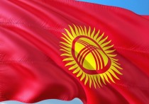 В Киргизии арестована сотрудница Русского дома по подозрению в вербовке участников вооруженных конфликтов за рубежом, сообщили в пресс-службе Первомайского районного суда Бишкека