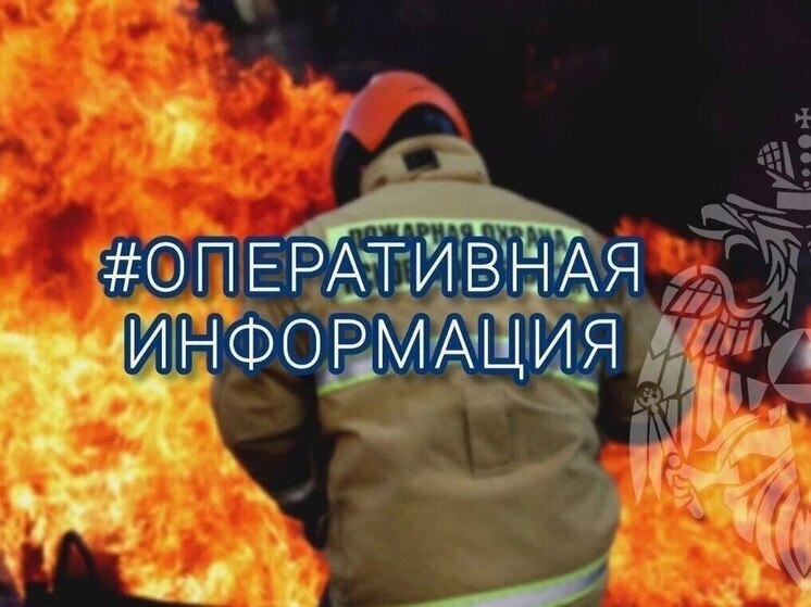 Бесхозная постройка загорелась в Новоржевском округе
