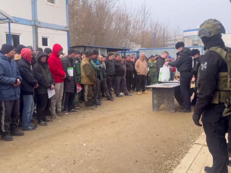 Девятерых мигрантов задержали во время рейда на стройке в Жуковском