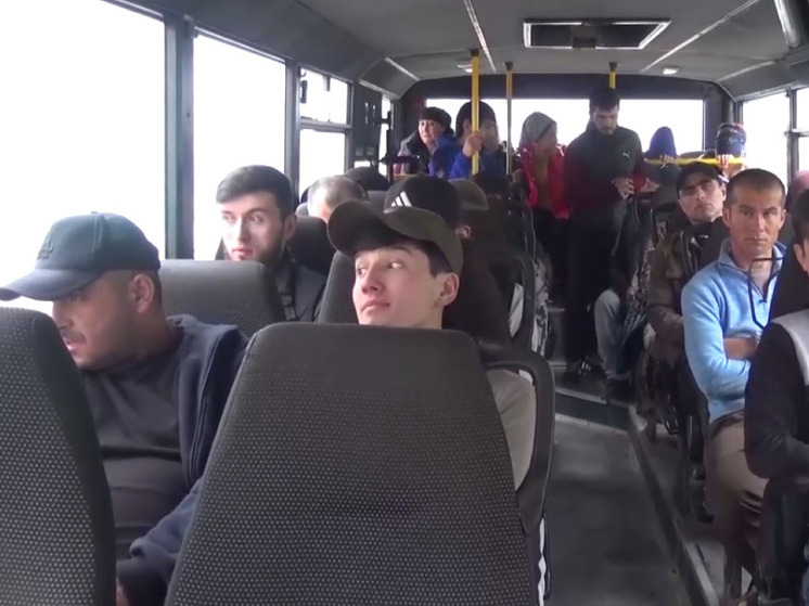 Трудовых мигрантов из Средней Азии могут заменить специалистами КНДР, Индии и Вьетнама