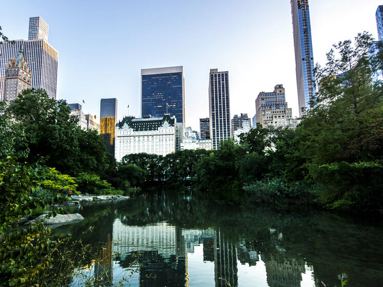  Если люди исчезнут: как быстро Земля сотрёт следы цивилизации