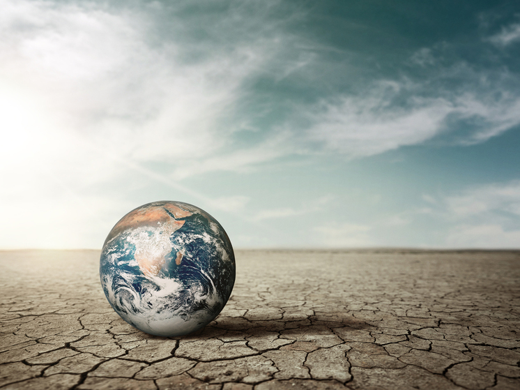  Если завтра людей не станет: кто унаследует Землю после человека