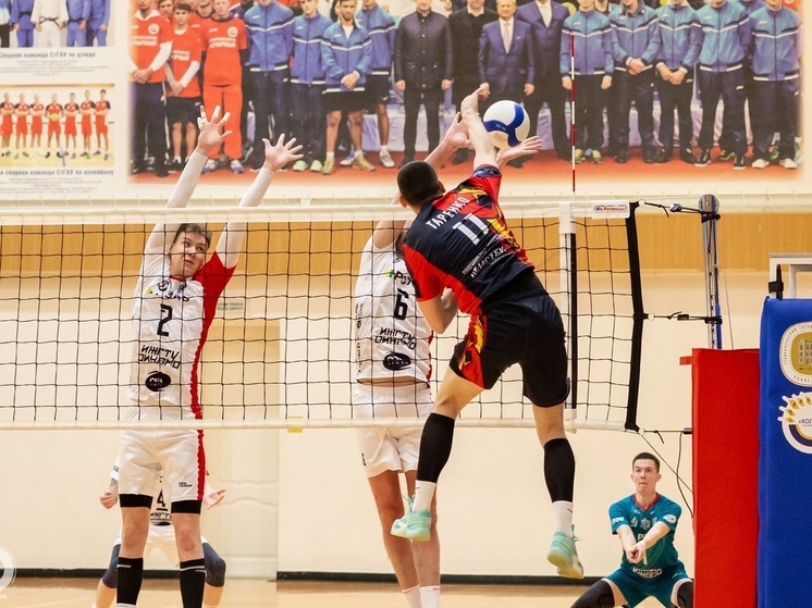 Чемпионат России по волейболу: «Колос» завершил сезон на втором месте