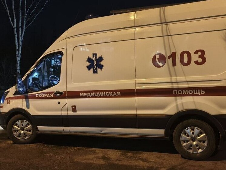 Фура насмерть сбила человека, стоявшего на дороге ночью в Хабаровском крае