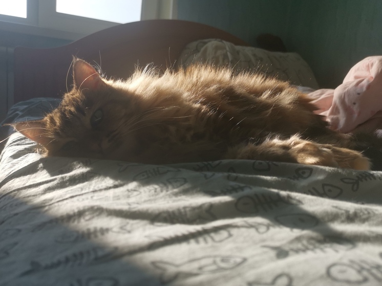 Отопительный сезон завершается в Приморье: где и когда отключат тепло