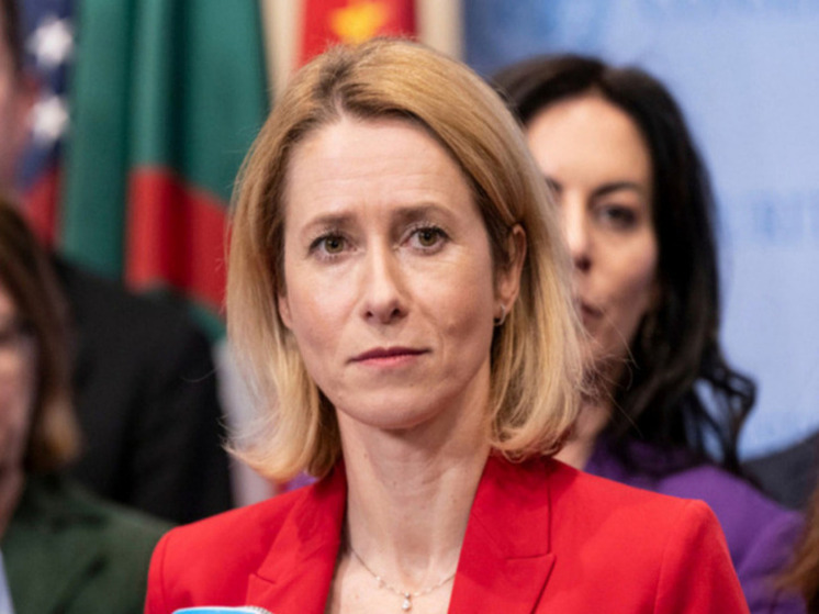 Кошкович назвал желание Каллас сорвать сделку по Украине чудовищным