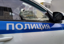Выяснились подробности нападения на сотрудников полиции в Серебрянопрудском городском округе Московской области