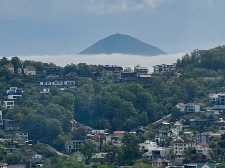 Апрель в Сочи: туман в субтропиках. Фото