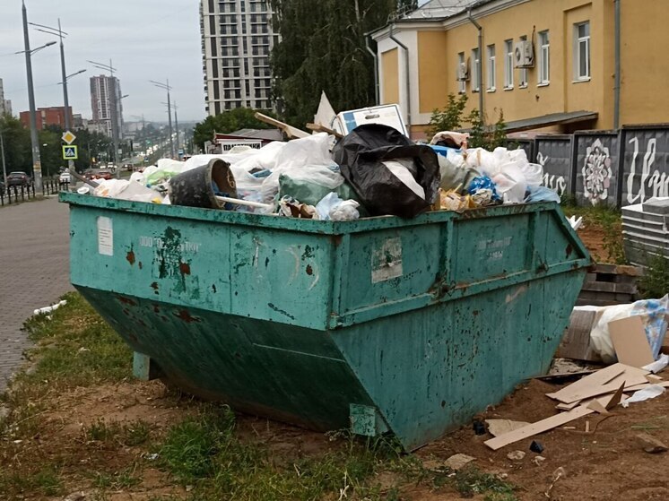 Петербуржцы недовольны кучей мусора в Зеленогорске и «бункером» с унитазом