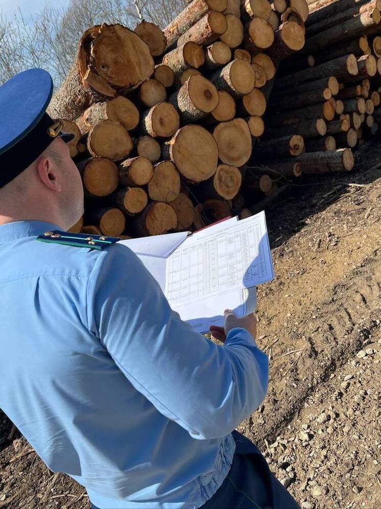 Житель Износковского района нарубил деревьев на приговор