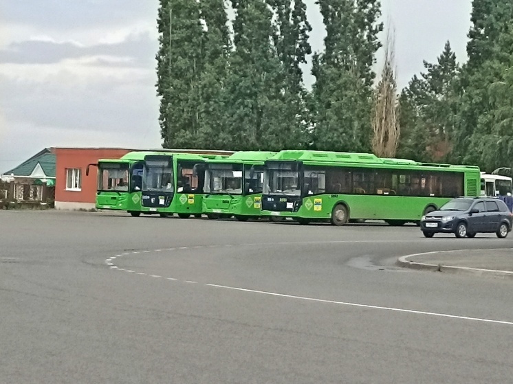 Администрация Оренбурга назвала дату старта дачного сезона