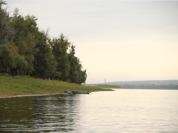 Народные приметы на 24 апреля: чего нельзя делать в день Антипа Водогона