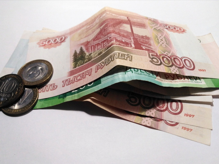 У саратовских самозанятых растут долги