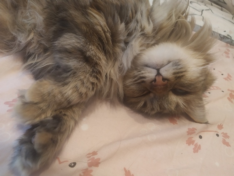 Стало известно, какая погода ожидает Приморье в четверг, 24 апреля