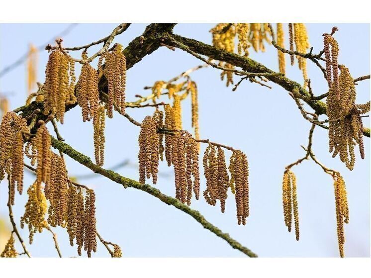 24 апреля в Смоленской области ожидается небольшой дождь и гроза